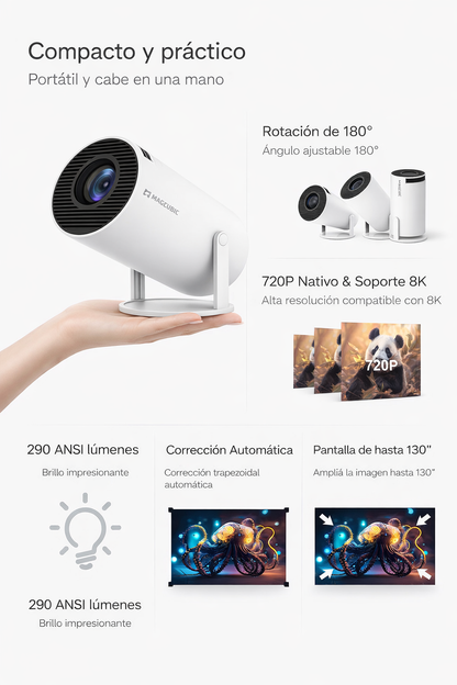 PROYECTOR